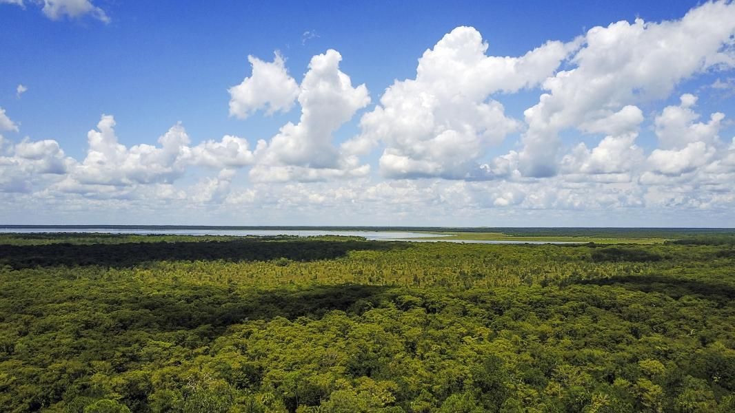 Osteen, Volusia County, FL Recreational Property, Undeveloped Land for