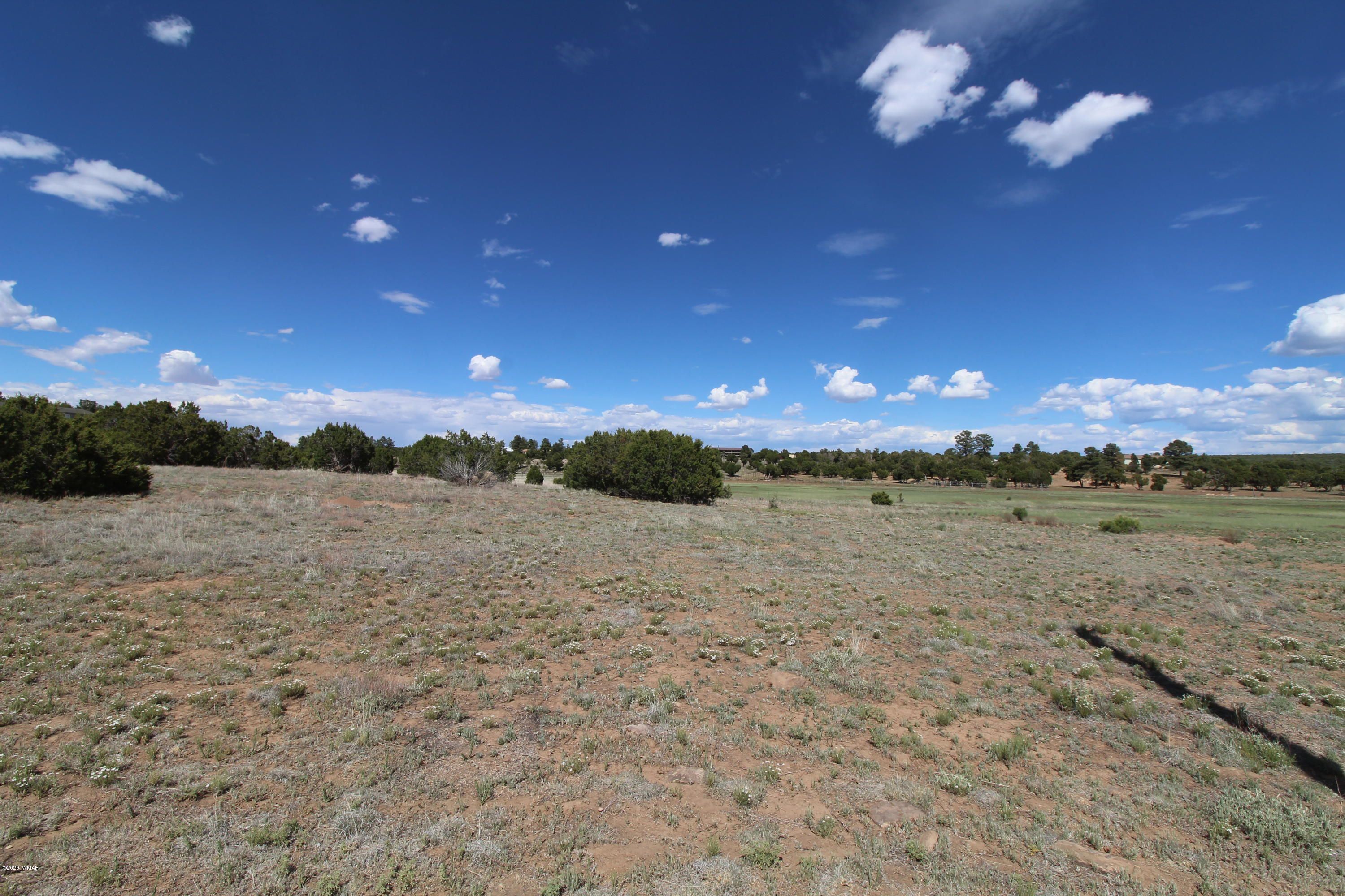 Clay Springs, Navajo County, AZ Undeveloped Land, Homesites for sale