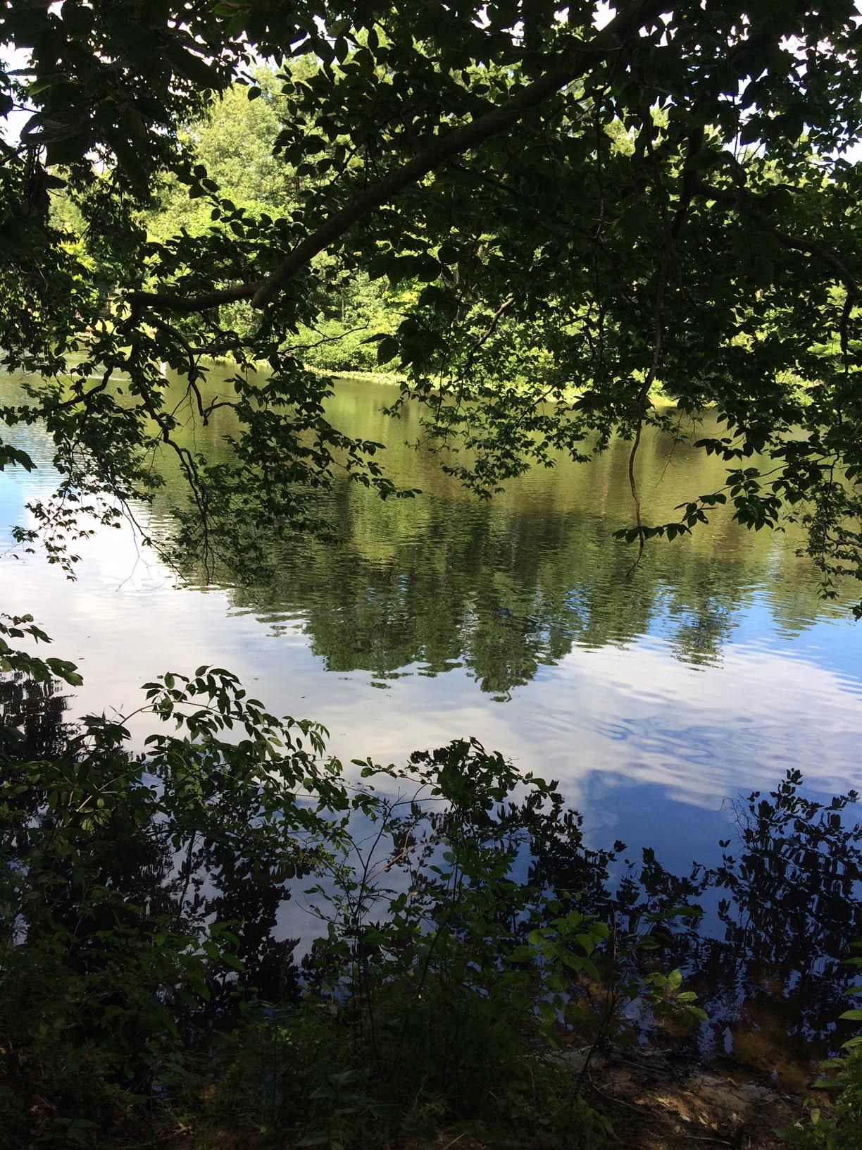 whitemore town road, crewe, VA 23930 LandWatch