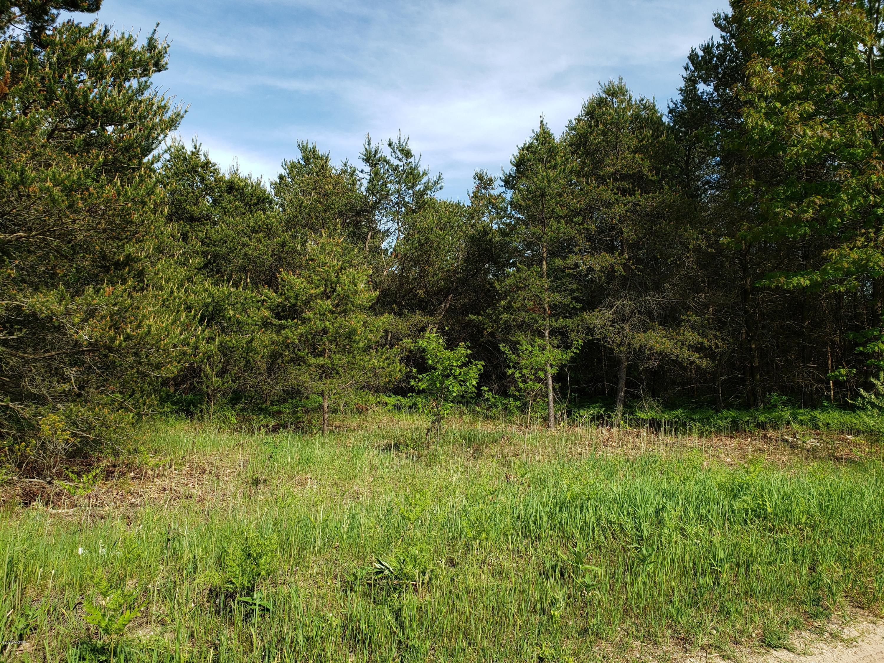 Bear Lake, Manistee County, MI Undeveloped Land, Lakefront Property