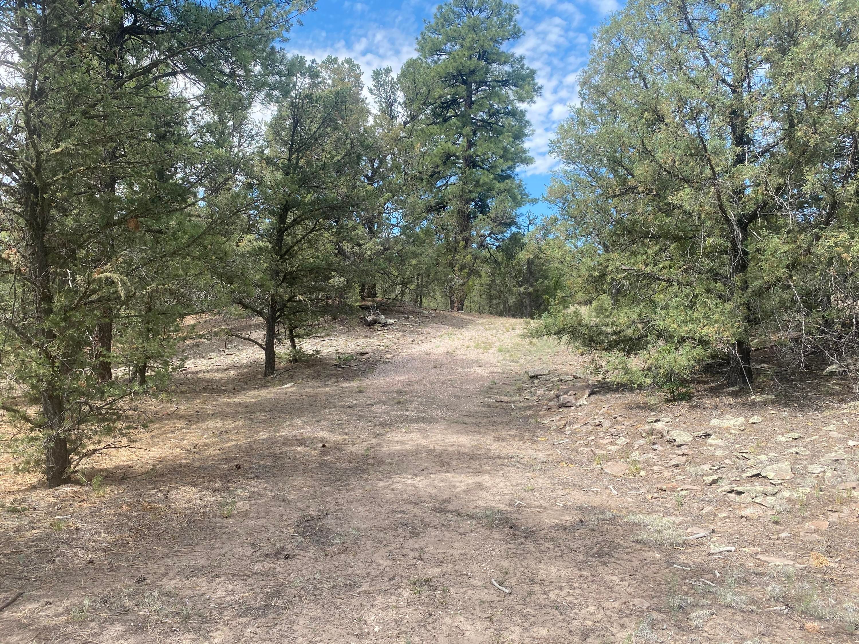 Ramah, Cibola County, NM Undeveloped Land for sale Property ID