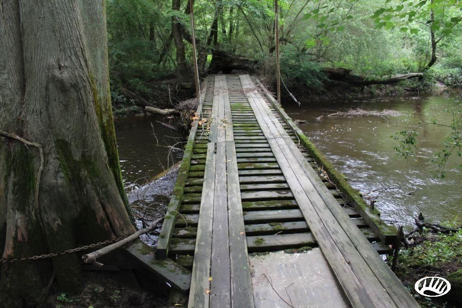 Stantonsburg, Wilson County, NC Recreational Property, Timberland