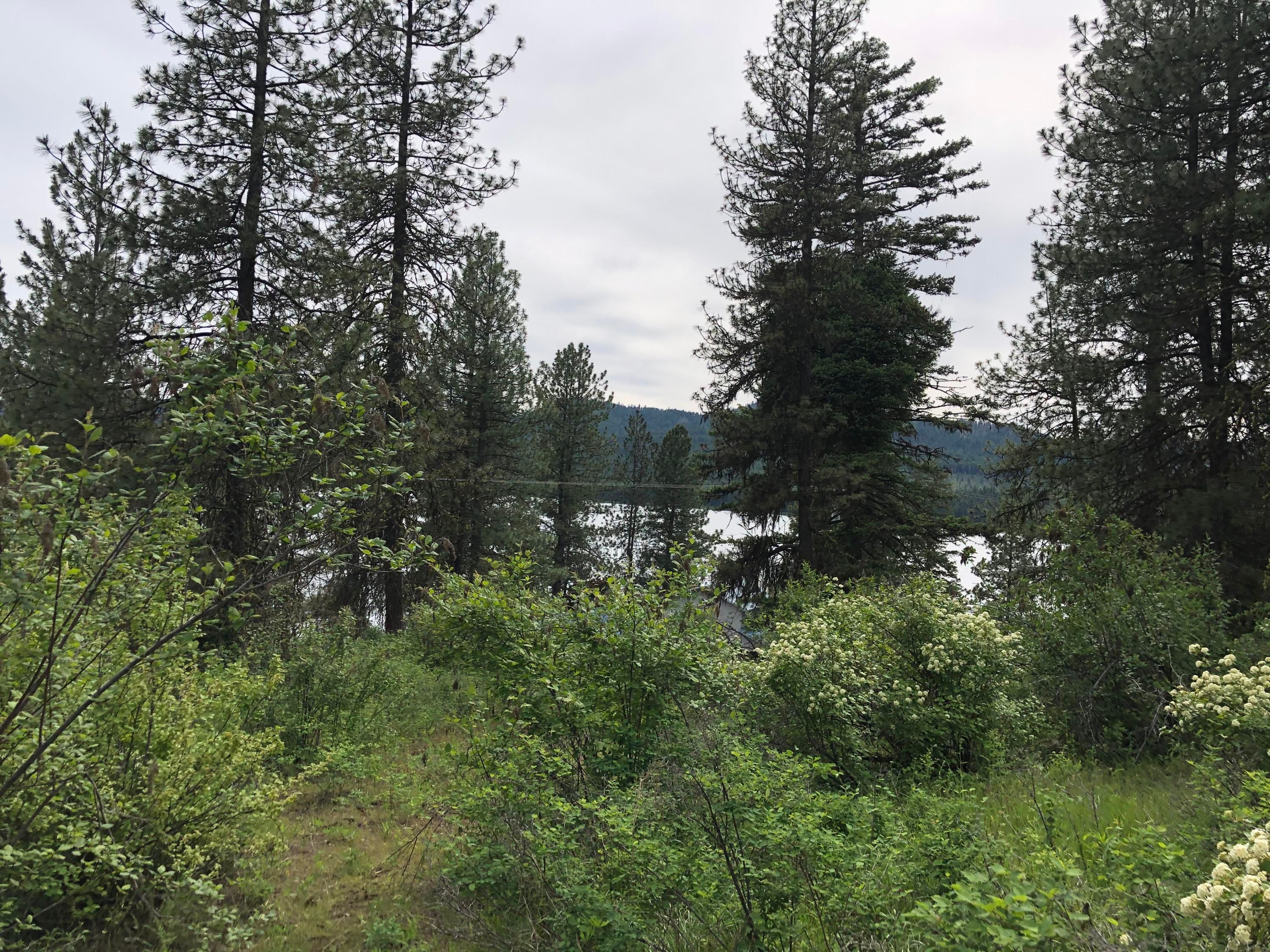 Inchelium, Ferry County, WA Undeveloped Land, Lakefront Property
