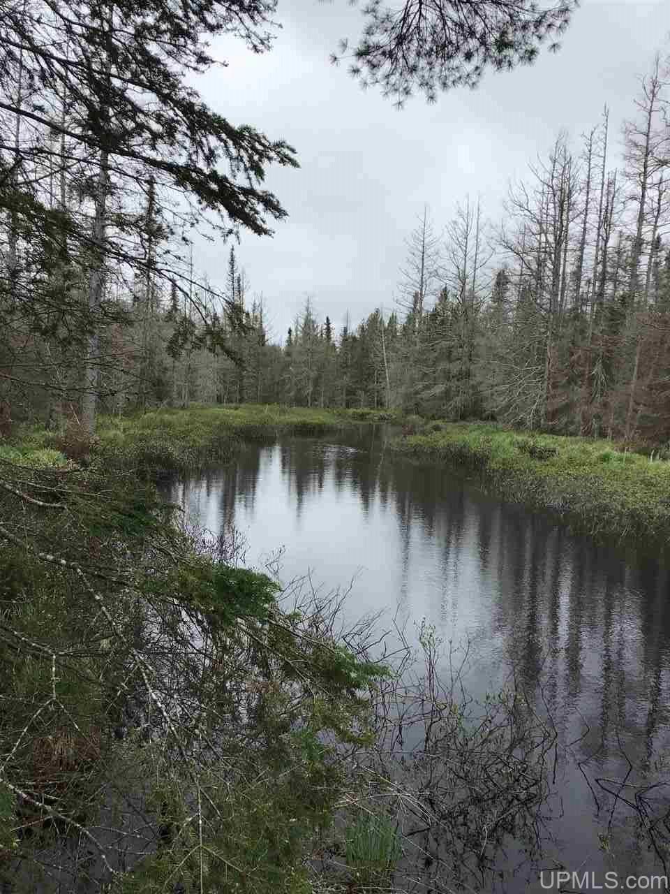 Three Lakes, Baraga County, MI Undeveloped Land for sale Property ID