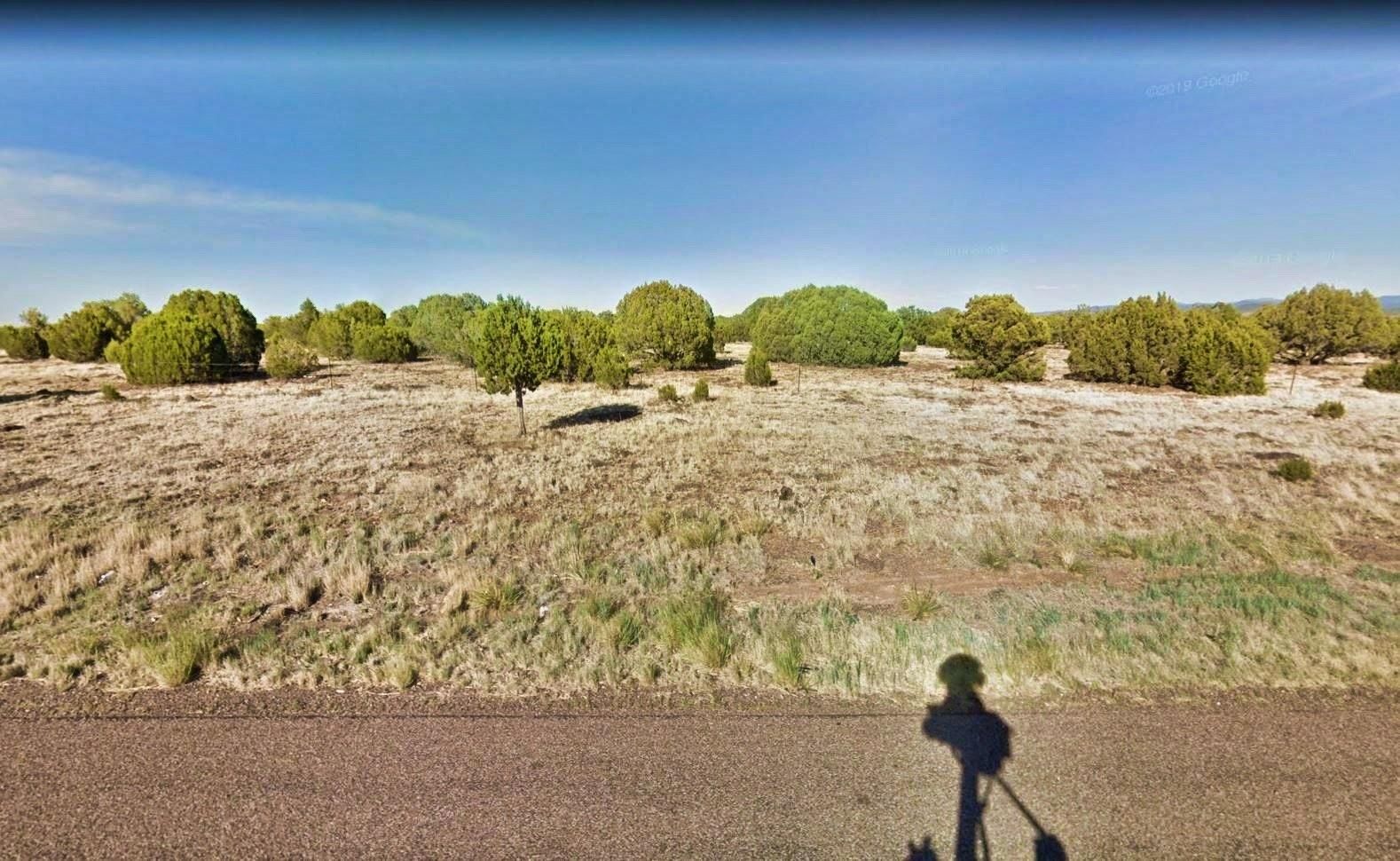 Show Low, Navajo County, AZ Recreational Property, Undeveloped Land