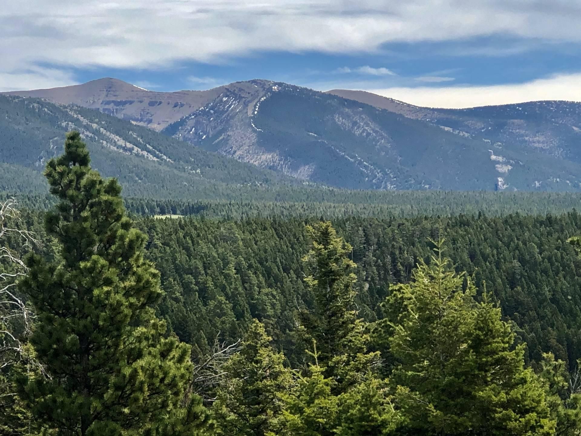 Judith Gap, Wheatland County, MT Recreational Property, Hunting
