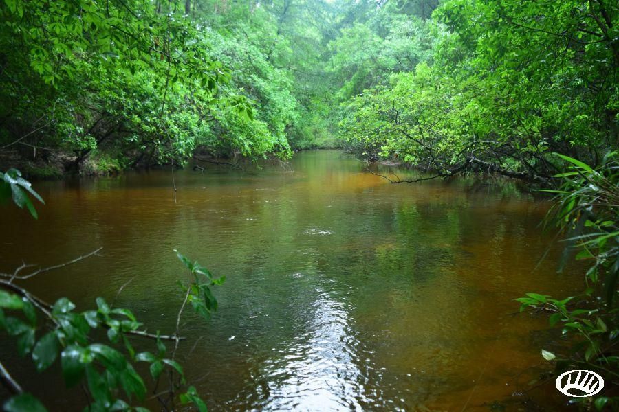 Ideal, Macon County, GA Recreational Property, Timberland Property