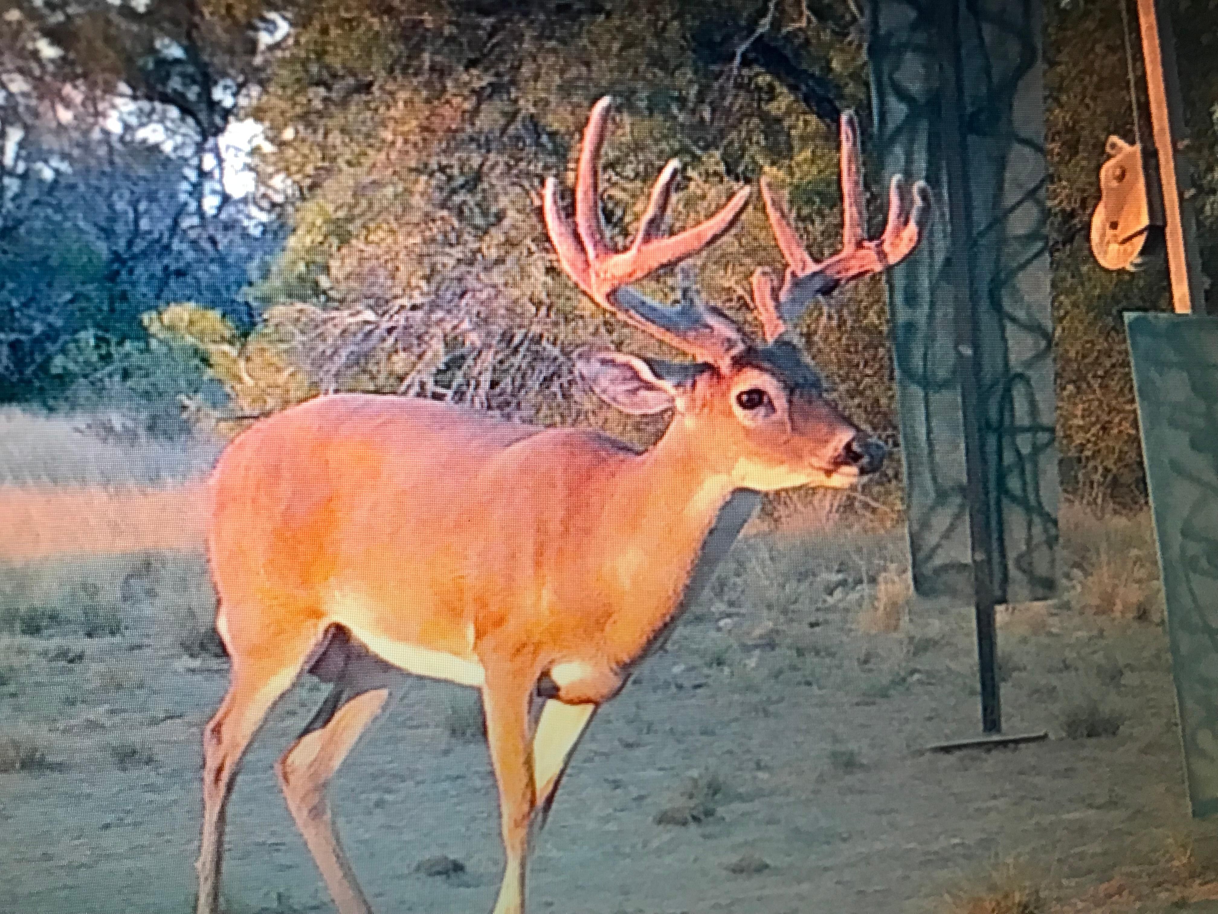 Indian Gap, Comanche County, TX Farms and Ranches, Recreational