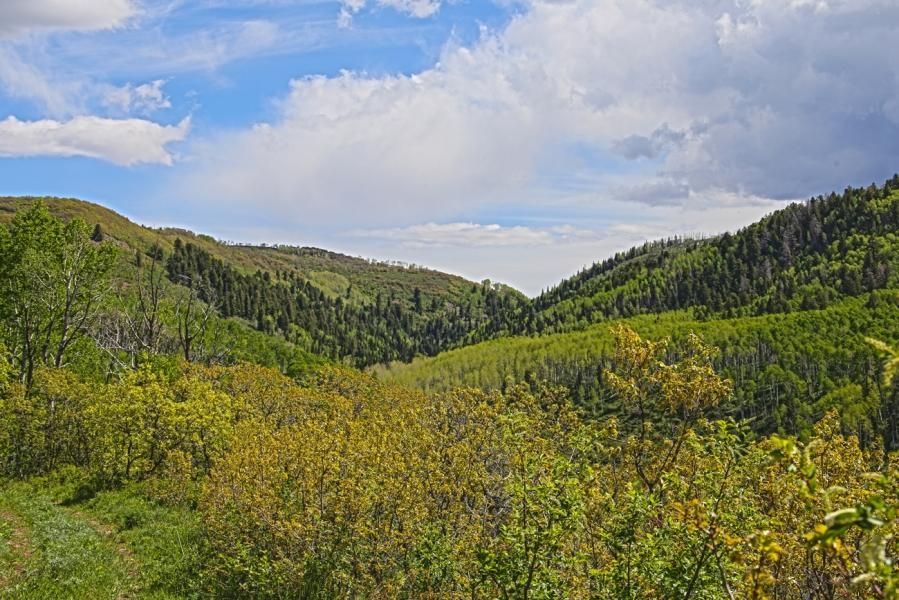 Grand Junction, Mesa County, CO Recreational Property, Undeveloped Land