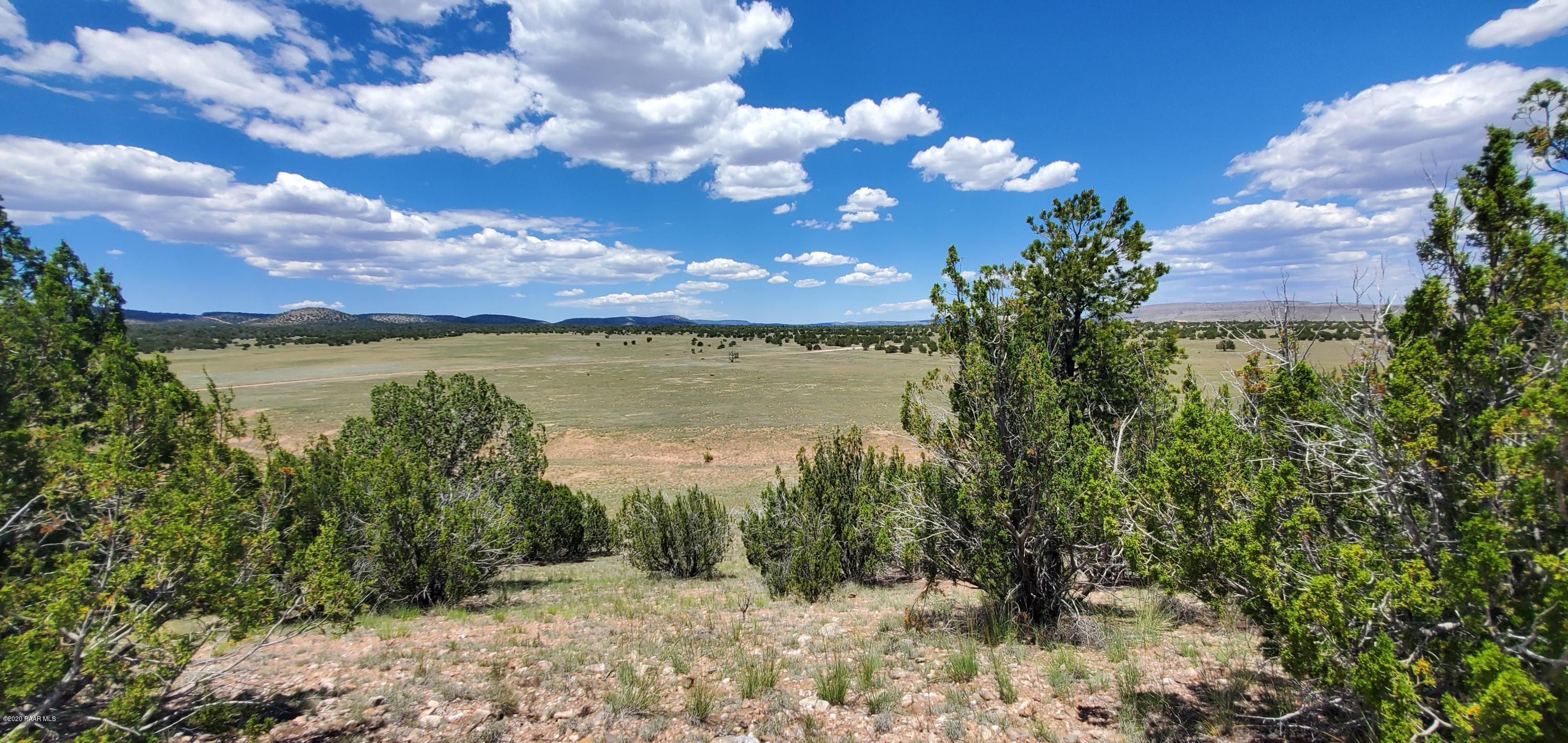 Seligman, Yavapai County, AZ Undeveloped Land for sale Property ID