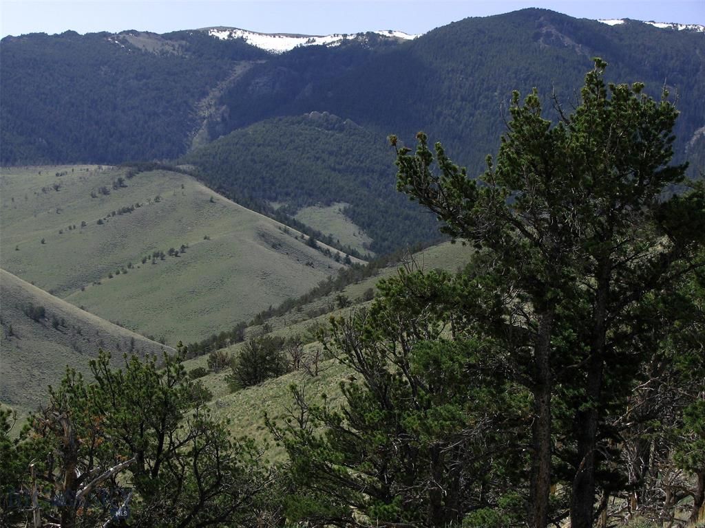 Belfry, Carbon County, MT Undeveloped Land for sale Property ID