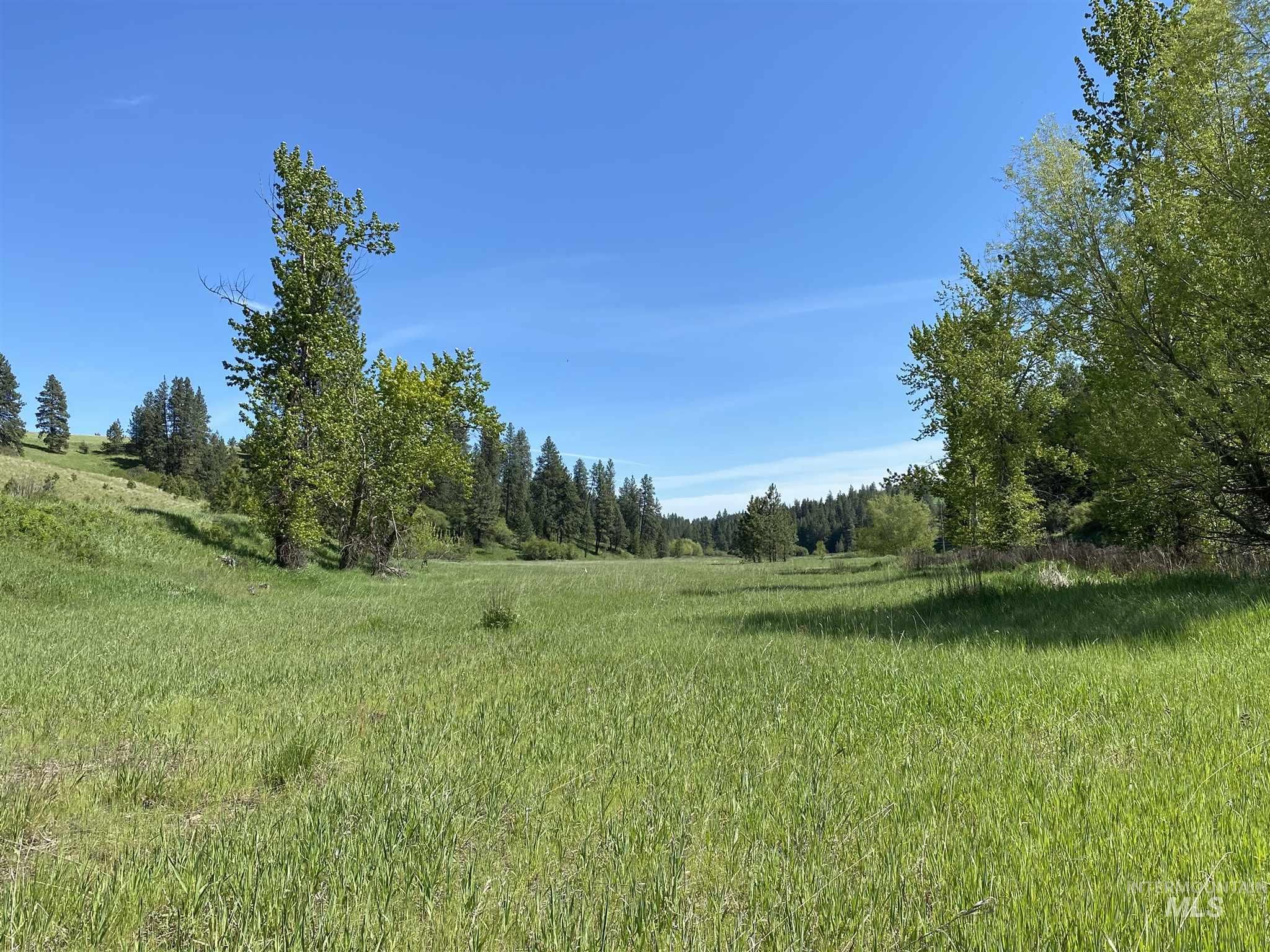 Moscow, Latah County, ID Farms and Ranches for sale Property ID
