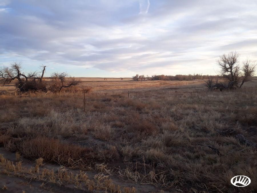 Kiowa, Elbert County, CO Recreational Property, Hunting Property for