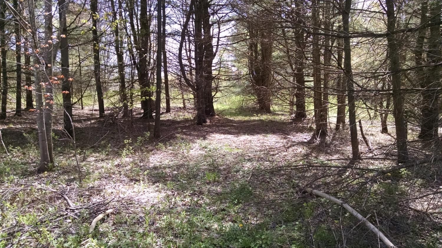 Jefferson, Schoharie County, NY Undeveloped Land for sale Property ID