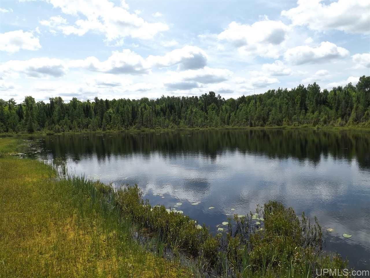 Three Lakes, Baraga County, MI Undeveloped Land, Lakefront Property