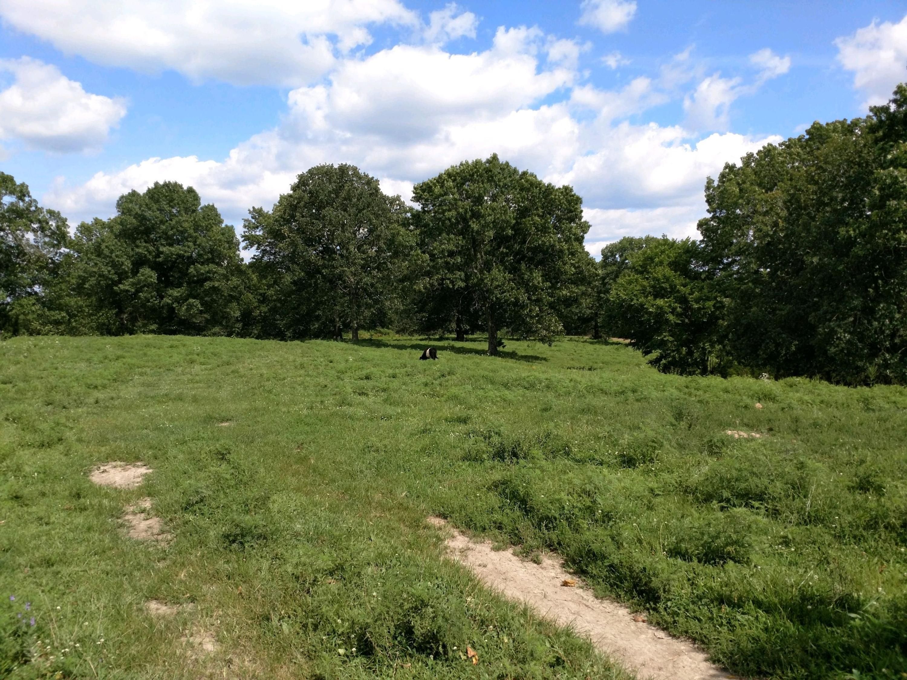 Highlandville, Christian County, MO Undeveloped Land for sale Property