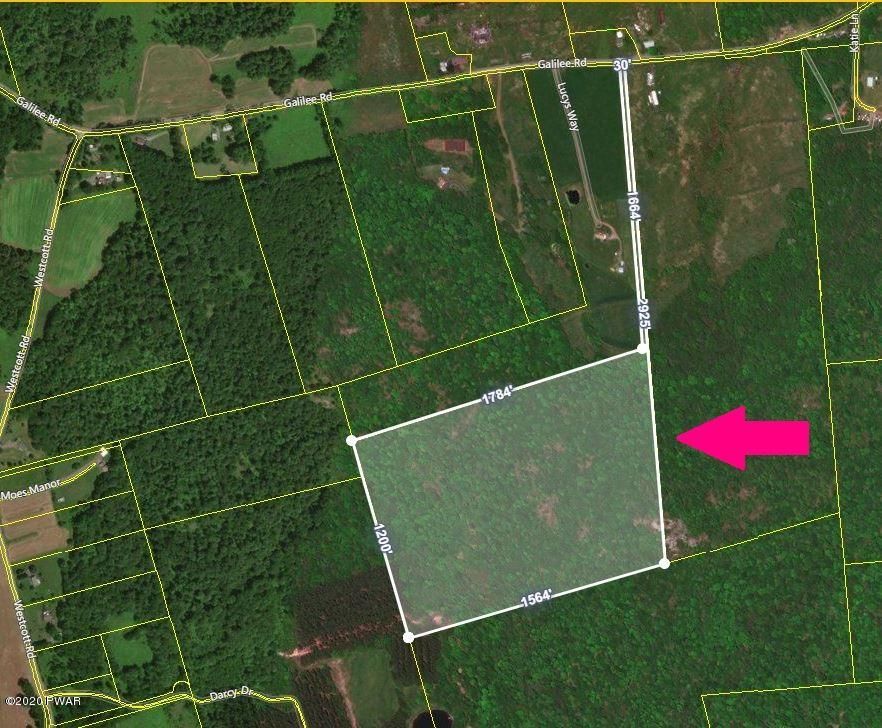 Damascus, Wayne County, PA Undeveloped Land for sale Property ID
