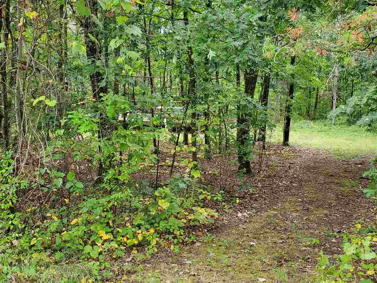 Lyndon Station, Juneau County, WI Undeveloped Land, Lakefront Property