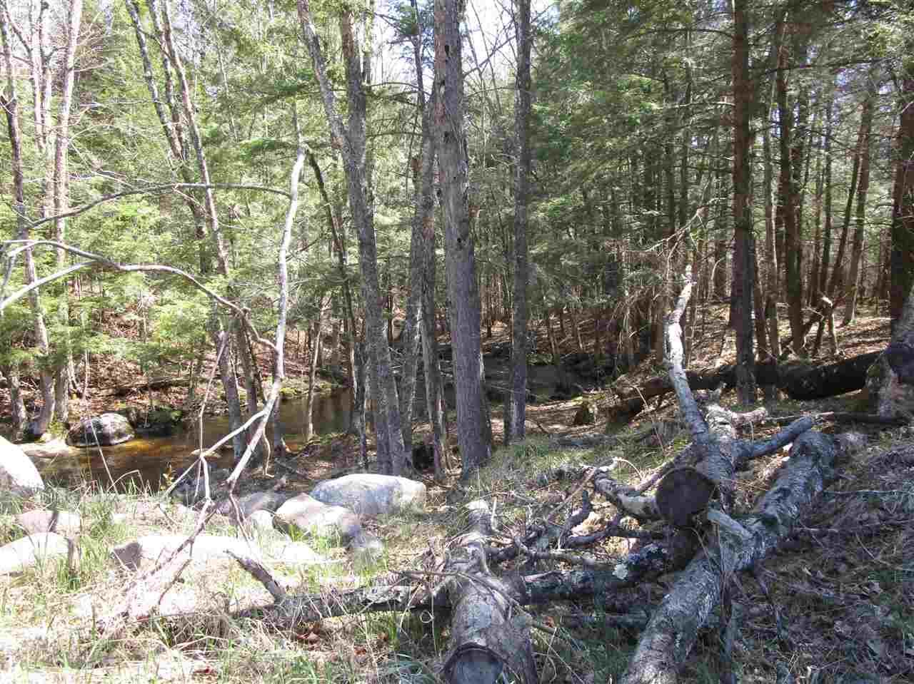 Argonne, Forest County, WI Undeveloped Land for sale Property ID 338304134 LandWatch