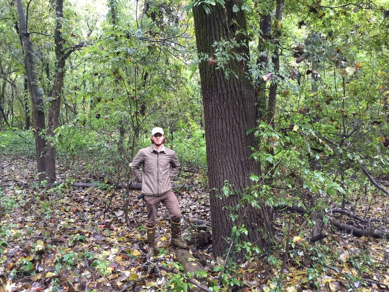 Turrell, Crittenden County, AR Recreational Property, Timberland