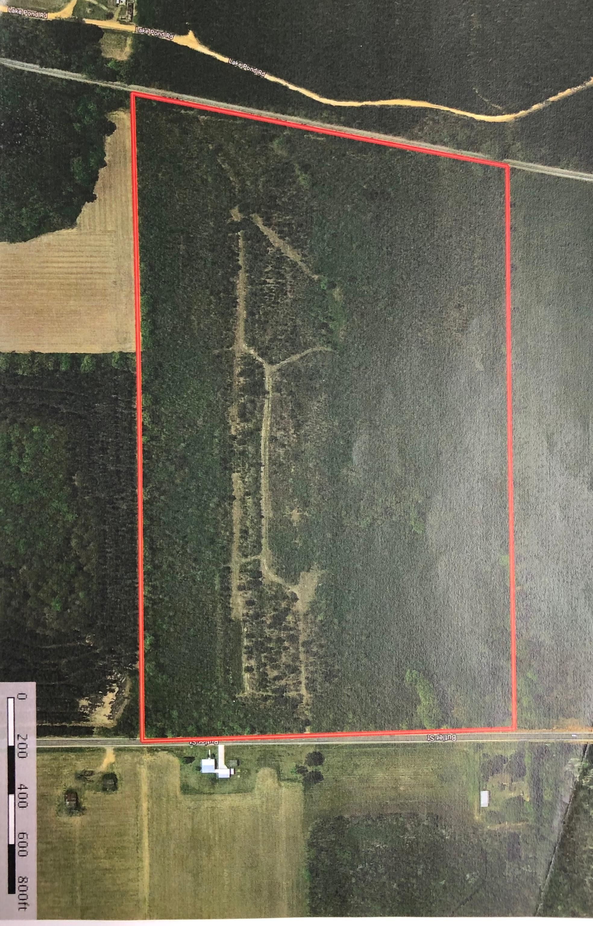 Huxford, Escambia County, AL Recreational Property, Timberland Property