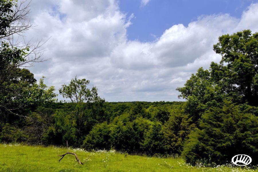 Bruner, Christian County, MO Recreational Property, Hunting Property