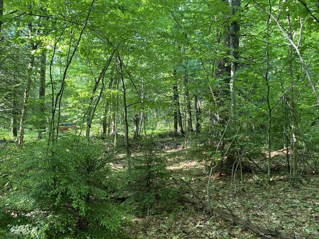 Rutland, Worcester County, MA Undeveloped Land for sale Property ID