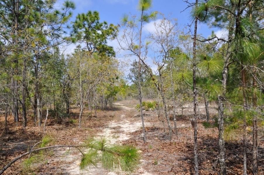 Weeki Wachee, Hernando County, FL Recreational Property, Undeveloped