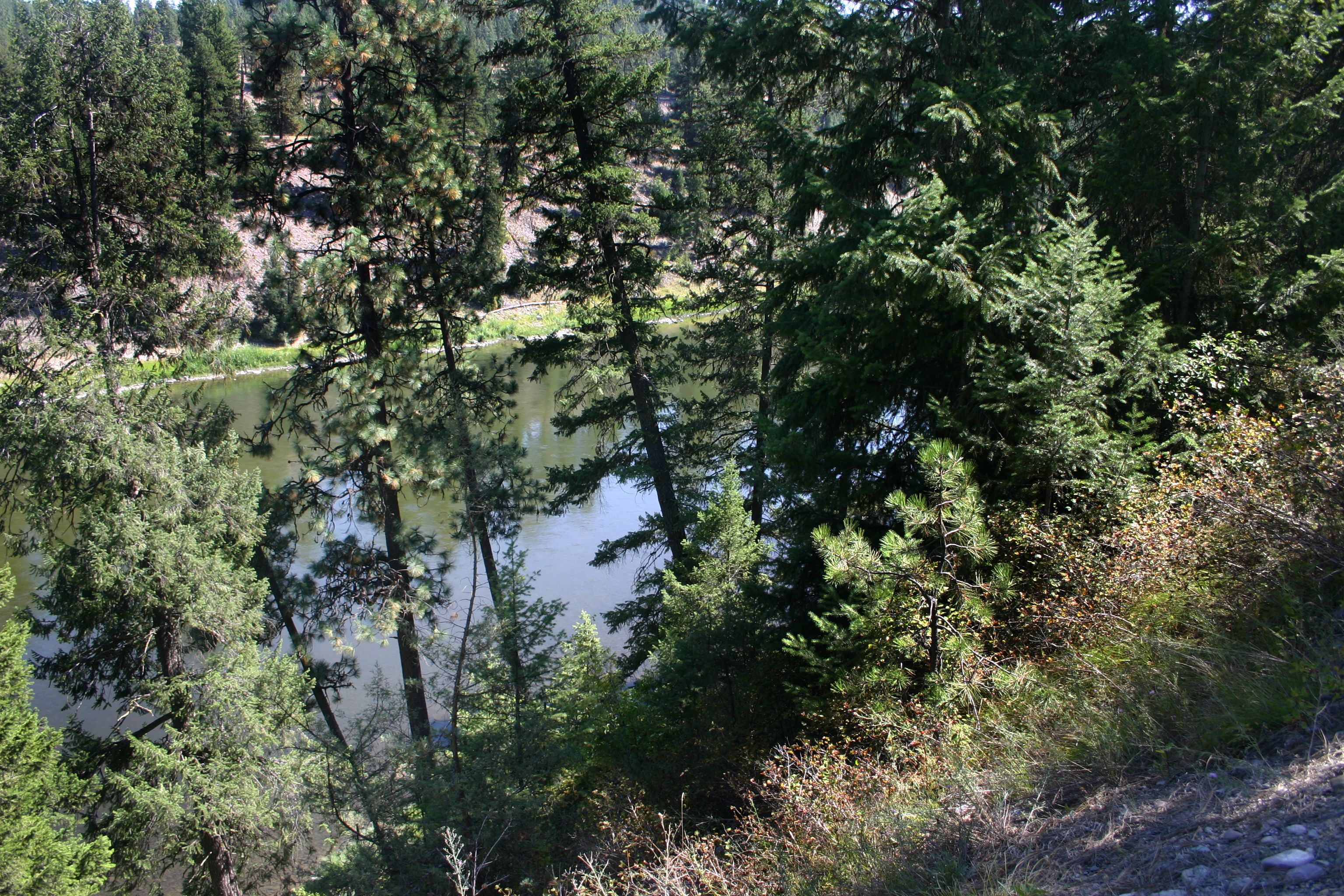 Superior, Mineral County, MT Undeveloped Land for sale Property ID