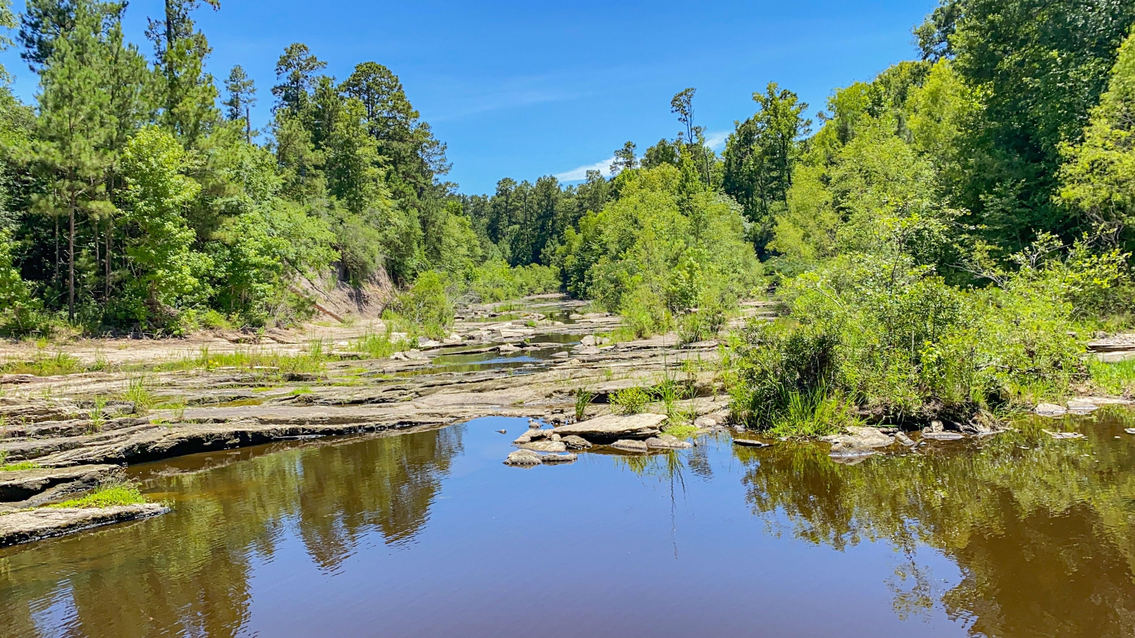 Trinity, Trinity County, TX Farms and Ranches, Recreational Property