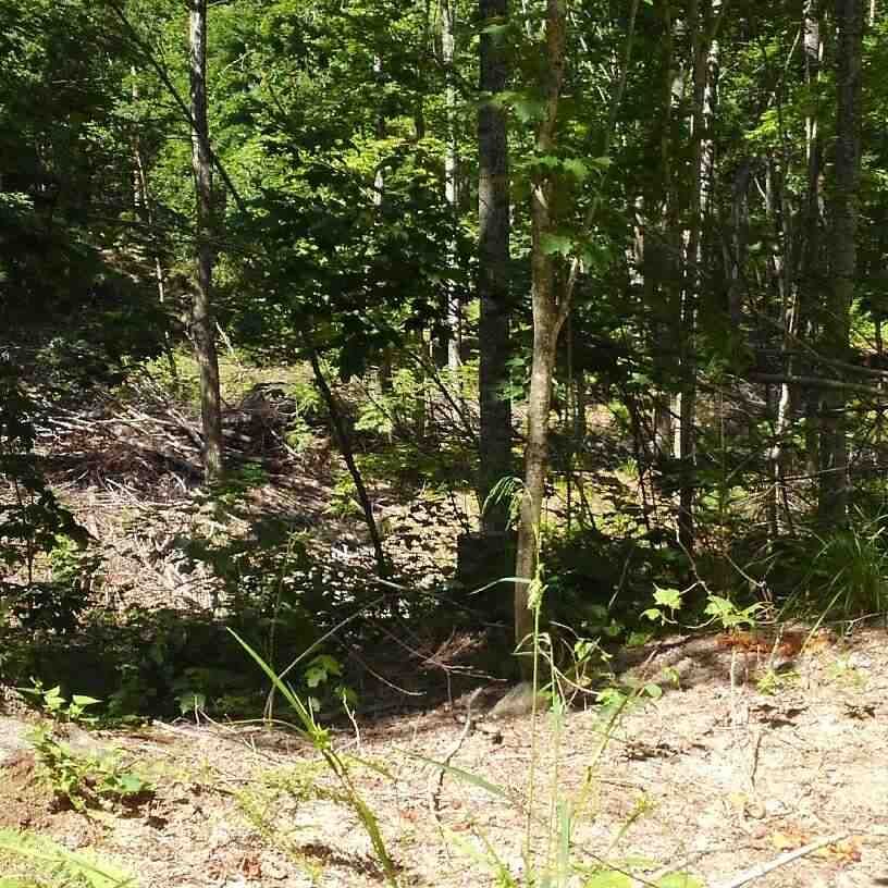 Paradise, Chippewa County, MI Undeveloped Land for sale Property ID