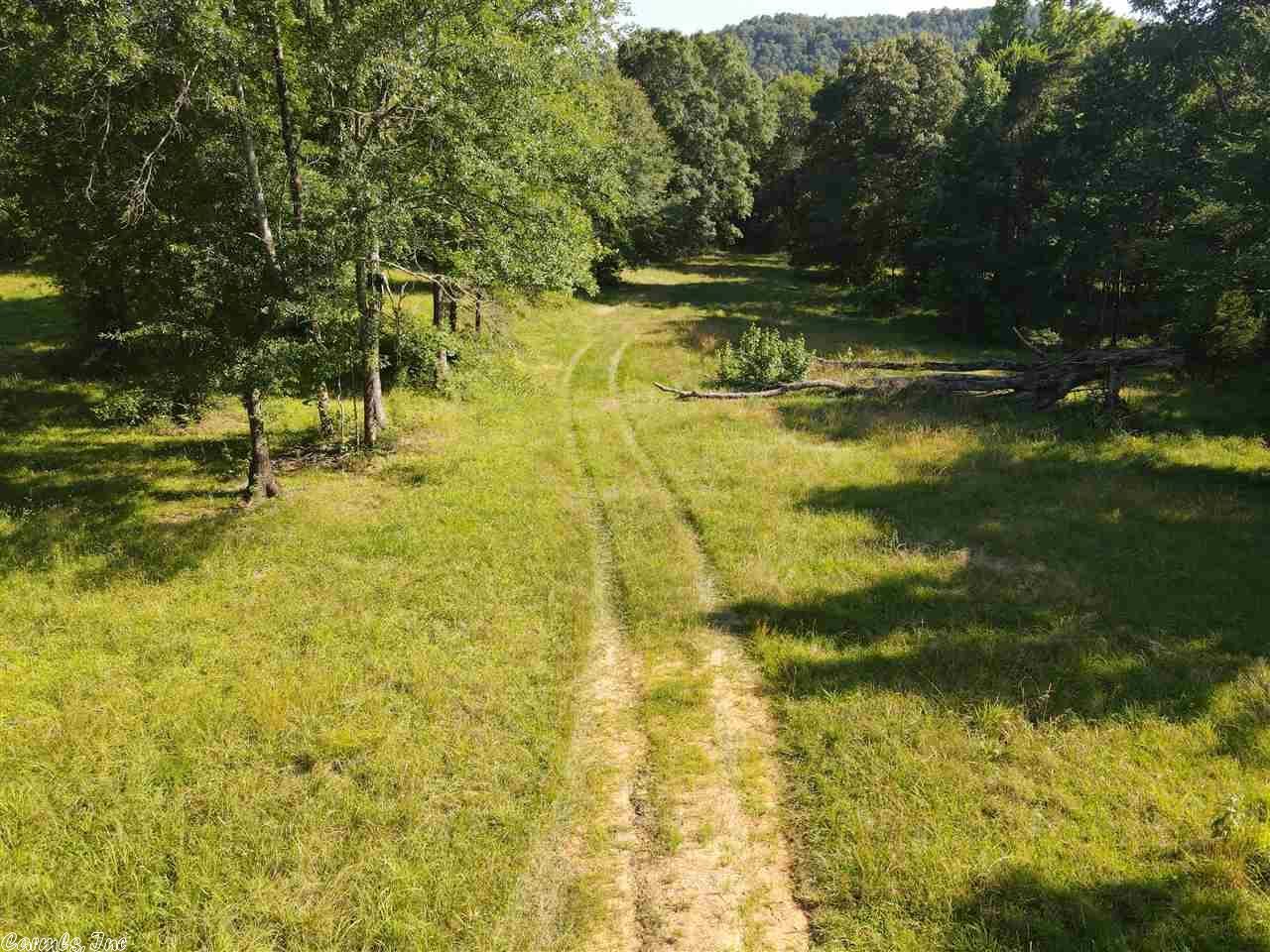 Caddo Gap, Montgomery County, AR Undeveloped Land for sale Property ID