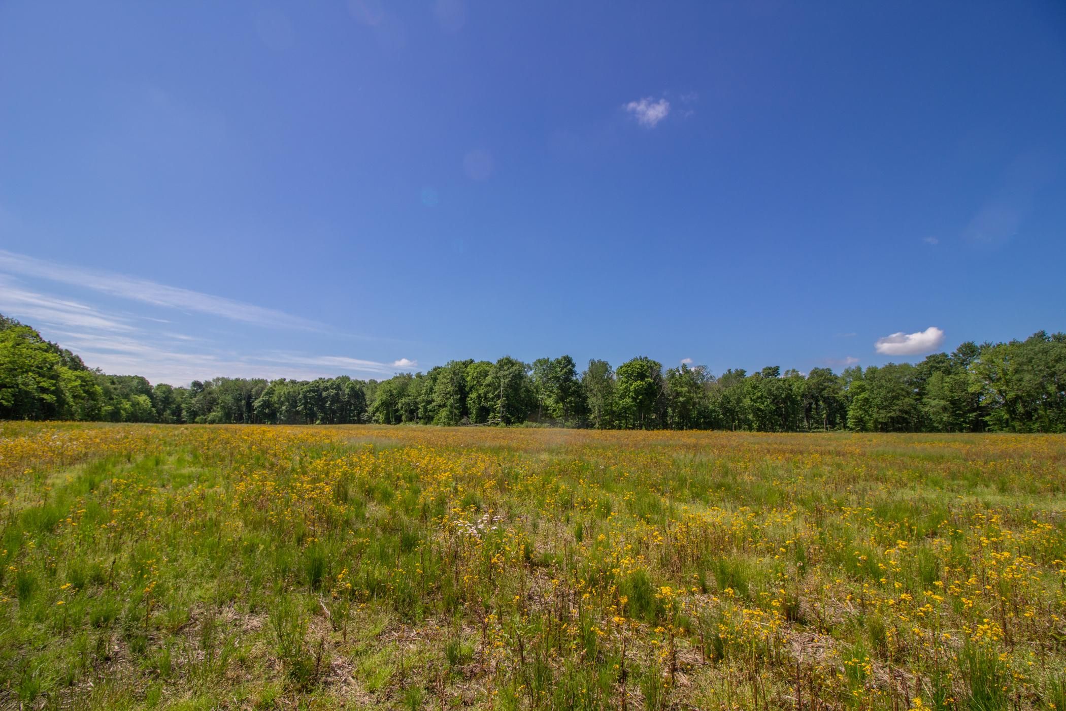 Bainbridge, Ross County, OH Recreational Property, Hunting Property for