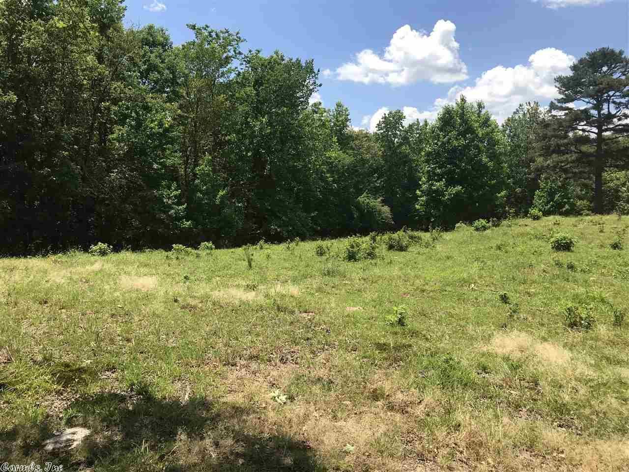 Caddo Gap, Montgomery County, AR Undeveloped Land for sale Property ID