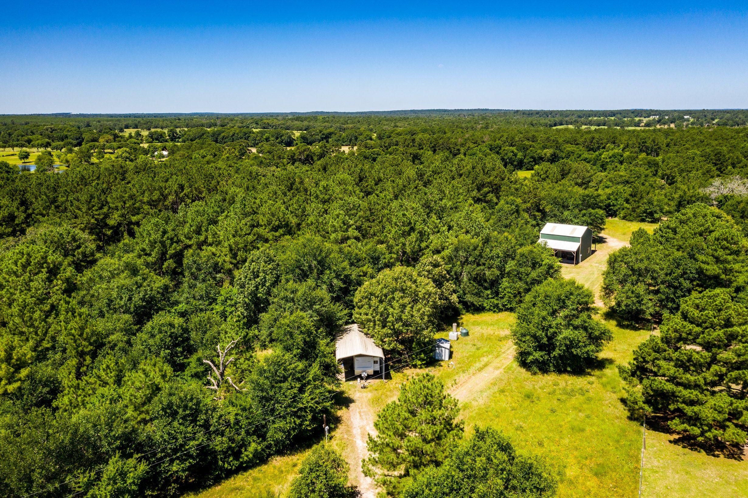 Huntsville, Walker County, TX Recreational Property, Timberland