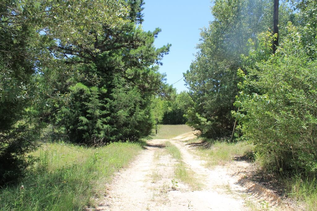 Centerville, Leon County, TX Undeveloped Land for sale Property ID