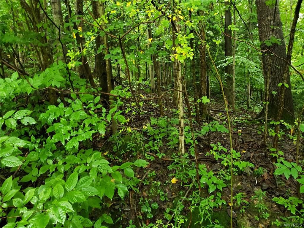 East Otto, Cattaraugus County, NY Undeveloped Land, Homesites for sale