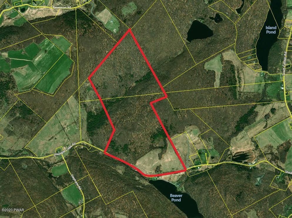 Starrucca, Wayne County, PA Undeveloped Land for sale Property ID