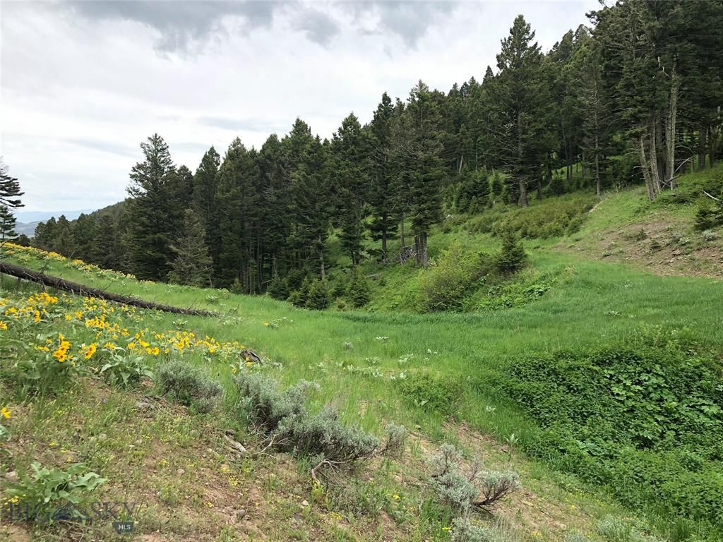 Bozeman, Gallatin County, MT Undeveloped Land for sale Property ID