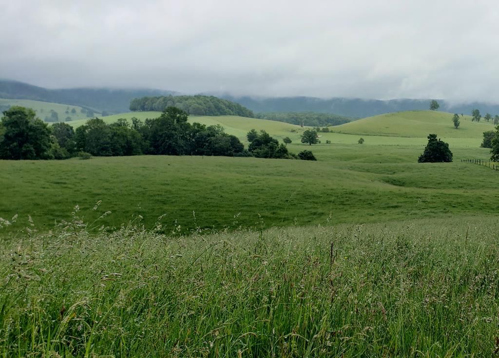Tazewell, Tazewell County, VA Farms and Ranches, Recreational Property