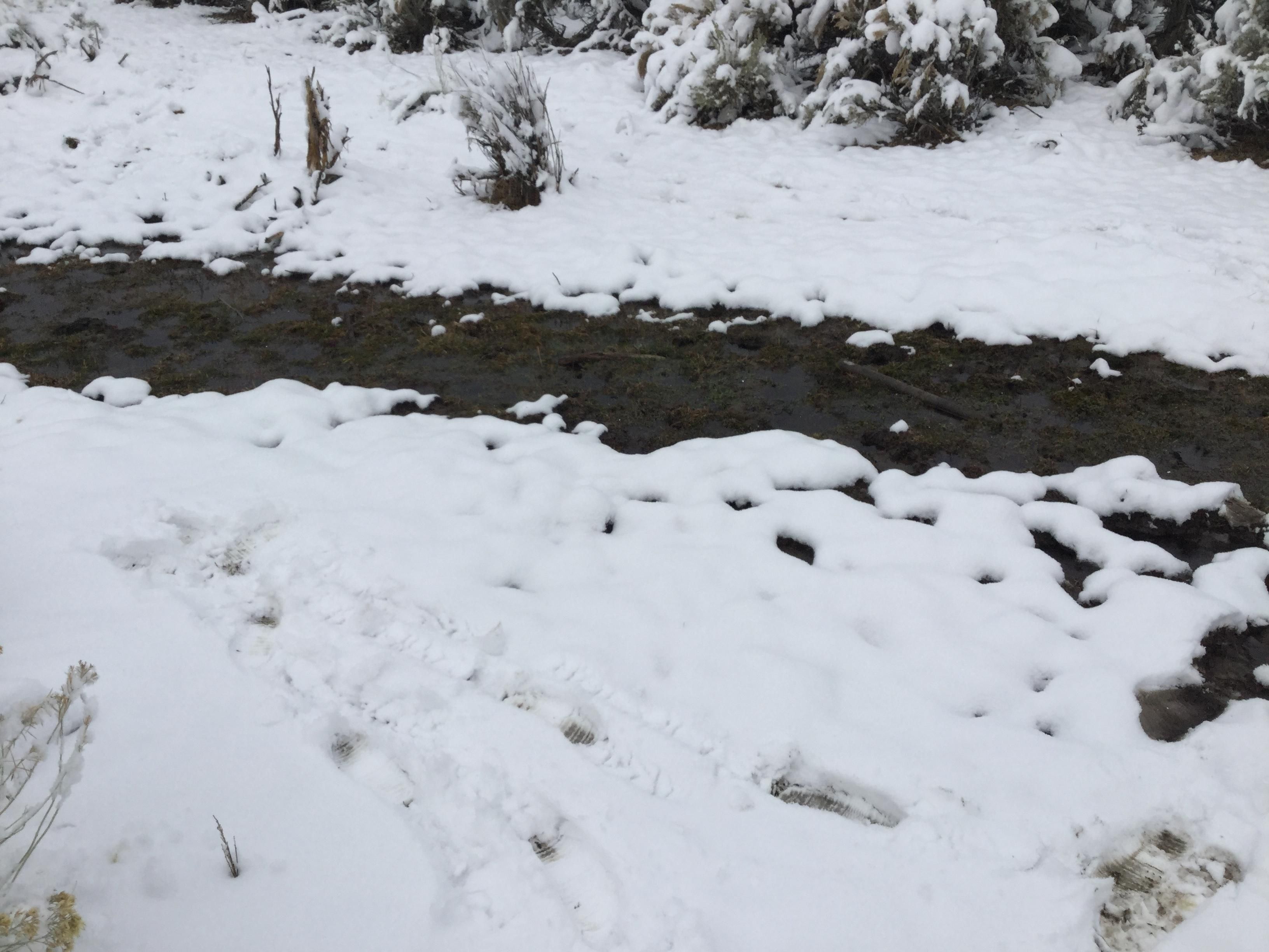 Lida, Esmeralda County, NV Recreational Property, Undeveloped Land for