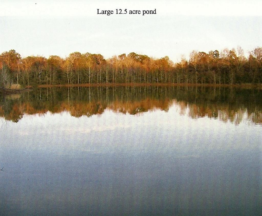 Blakely, Early County, GA Undeveloped Land for sale Property ID