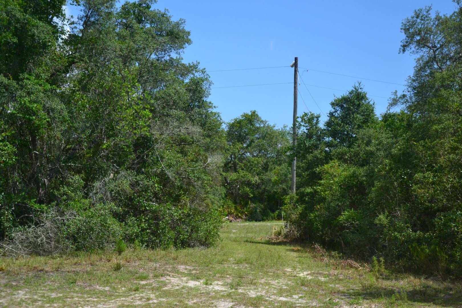 Perry, Taylor County, FL Undeveloped Land, Homesites for sale Property