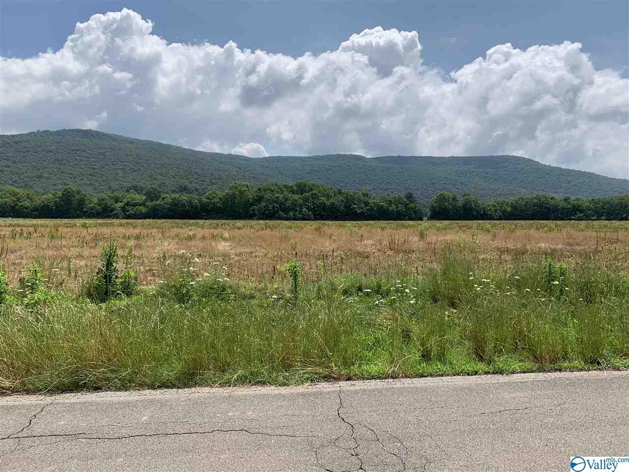 New Market, Madison County, AL Undeveloped Land for sale Property ID