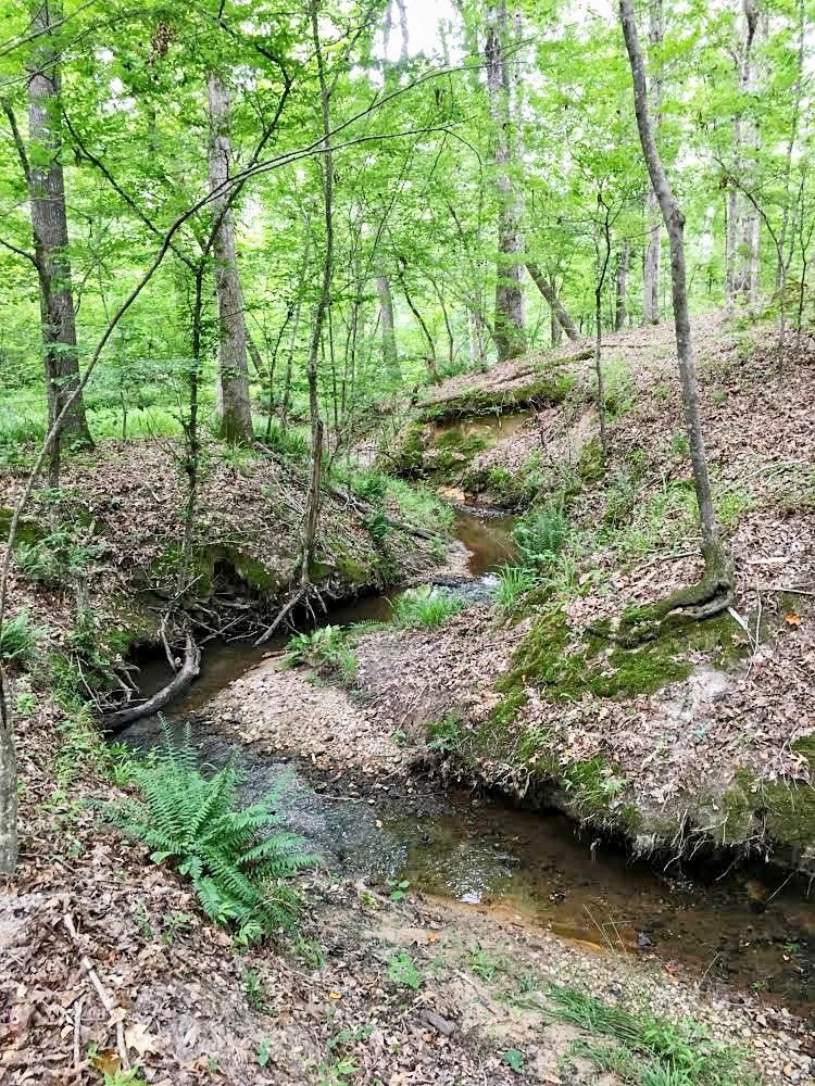 Ethridge Road, Haddock, GA 31033 MLS 8805634 LandWatch