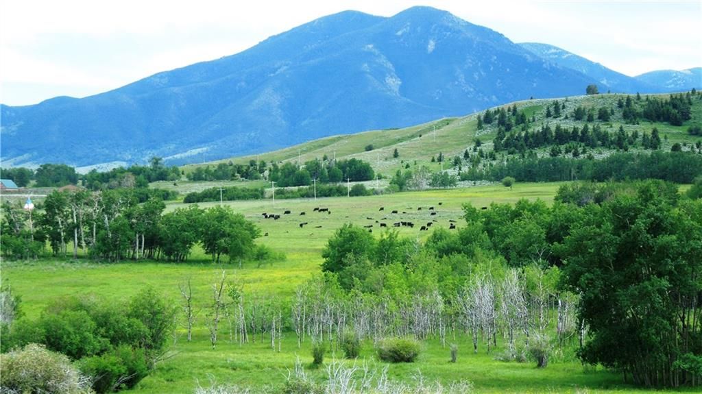 Red Lodge, Carbon County, MT Undeveloped Land for sale Property ID