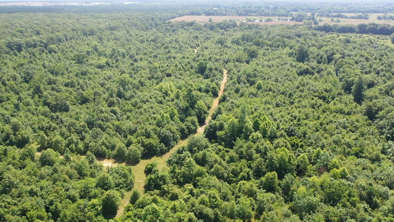 Detroit, Red River County, TX Recreational Property, Timberland