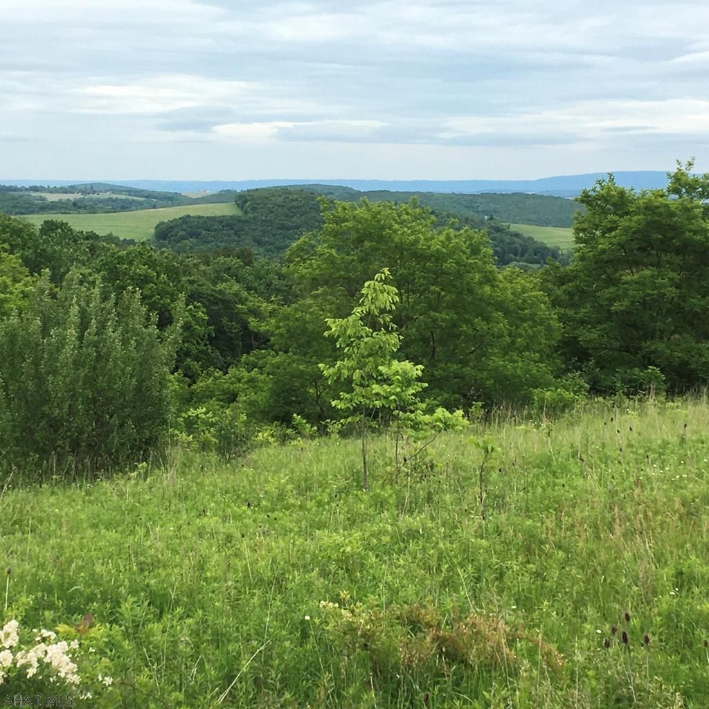 Schellsburg, Bedford County, PA Undeveloped Land for sale Property ID