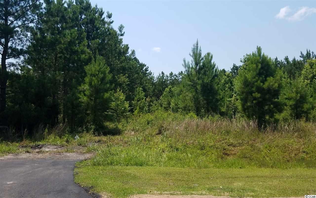 Loris, Horry County, SC Undeveloped Land for sale Property ID 338391446 LandWatch