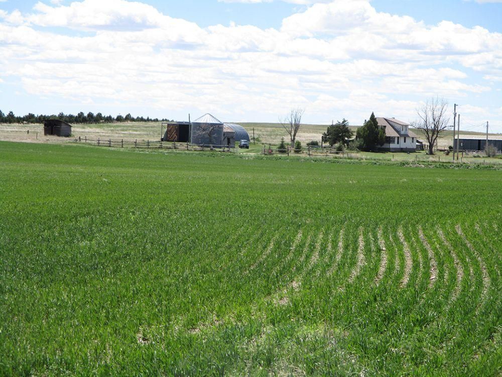 318.88 acres in Kimball, NE, LandWatch